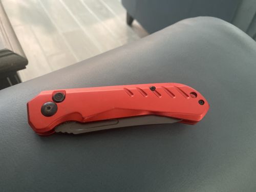 Customer photo review of FREE SKULL RING!