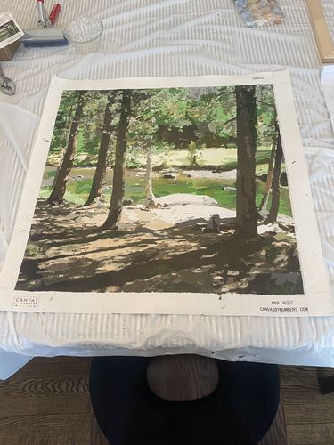 Customer photo review of Custom Paint by Numbers Kit