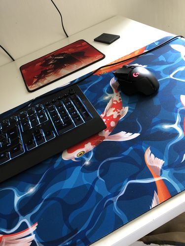 Customer photo review of Koi Fish