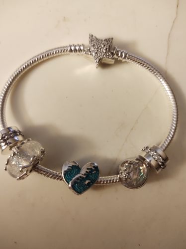 Customer photo review of 925 Sterling Silver Ocean and Sea Life Charm