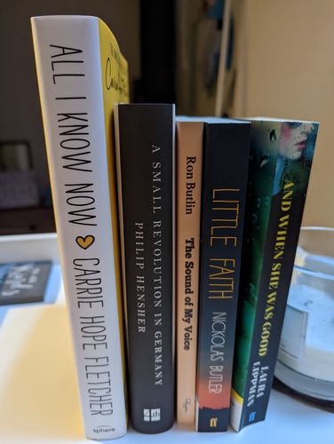 Customer photo review of Surprise Subscription Box of 4 Mixed Books