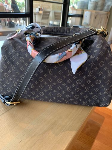Customer photo review of Small Purse Bag Organizer - Fits Speedy 25, Manhattan PM, Noe PM