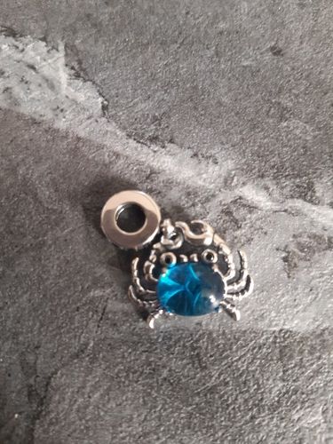 Customer photo review of 925 Sterling Silver Blue Crab Charm