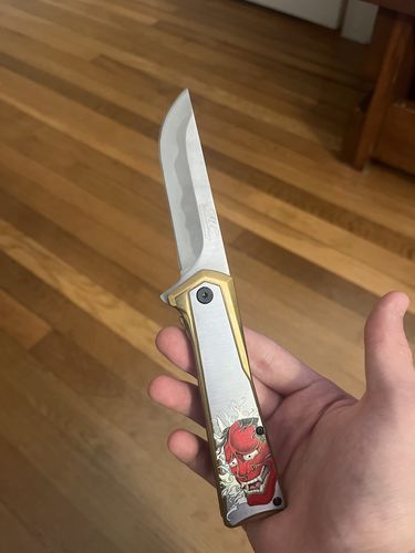 Customer photo review of 8" Katana Sword Style Dragon Folding Spring Assisted Pocket Knife
