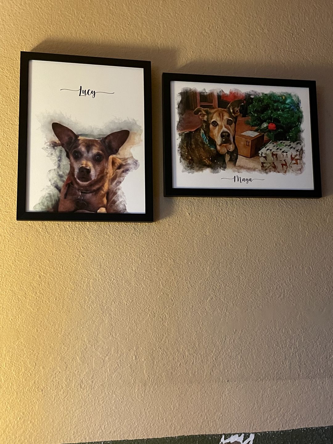 Customer photo review of Custom Pet Portrait