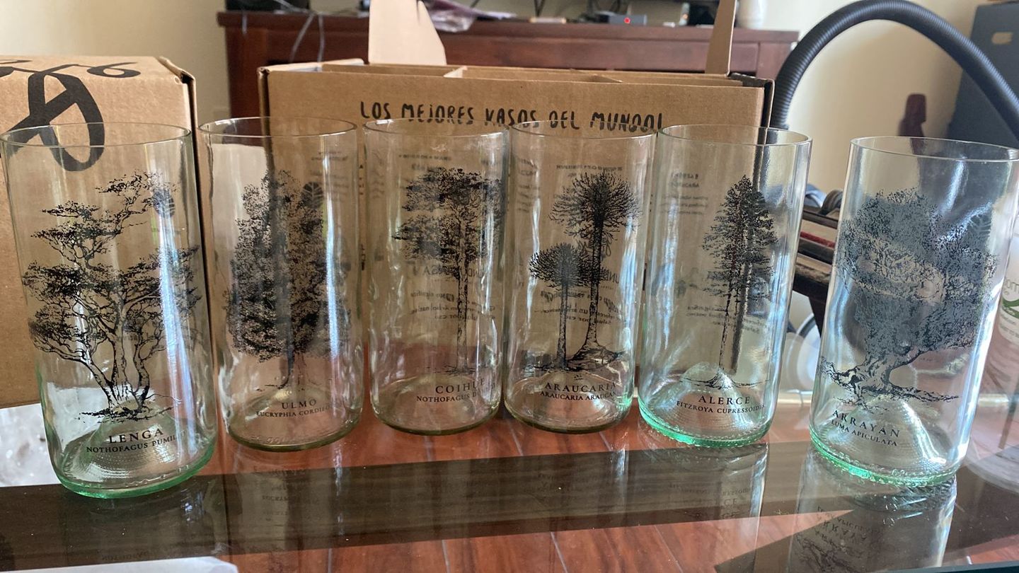Customer photo review of Juego de 6 Vasos Árboles de Chile