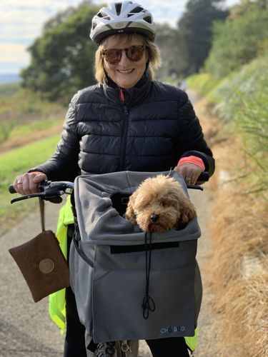Customer photo review of All In One Pet Carrier Bag | Dog Bike Basket | Backpack for Dogs & Cats | Car Booster Seat
