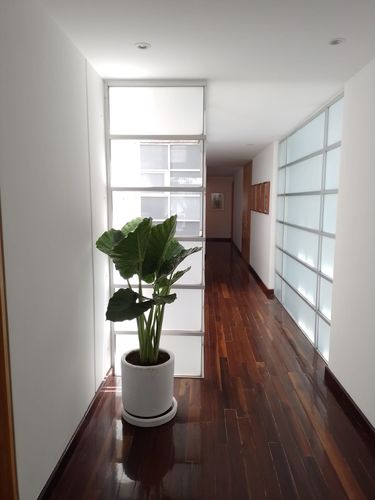 Customer photo review of Hoja Elegante