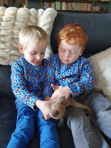 Customer photo review of Electric Leopard Kids' Jumper