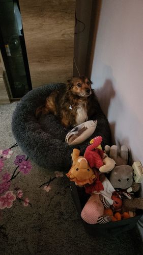 Customer photo review of Puppery Kuschelbett - Das Original