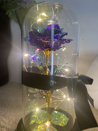 Customer photo review of Purple LED Rose Dome