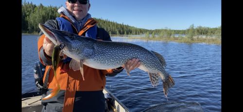 Customer photo review of Headbanger FireTail 7"