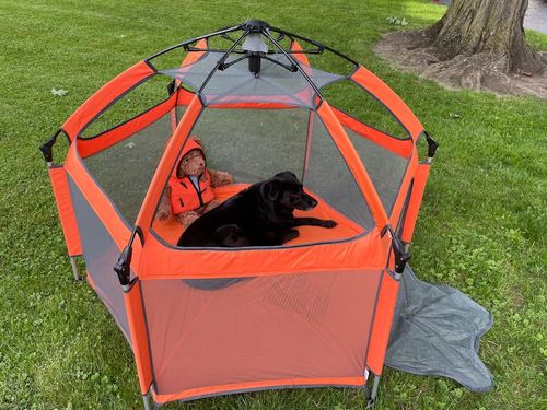 Customer photo review of Pop N' Go® Playpen