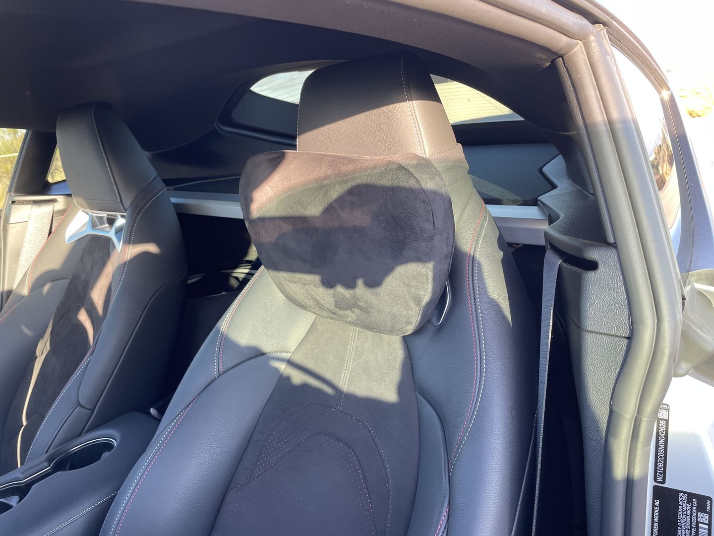 Customer photo review of Dupont Headrest Pillow