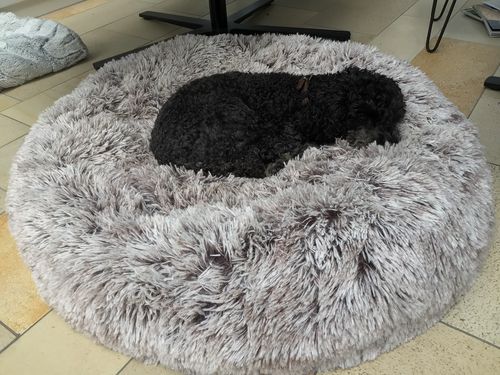 Customer photo review of Hundebett rund Wuscheldonut