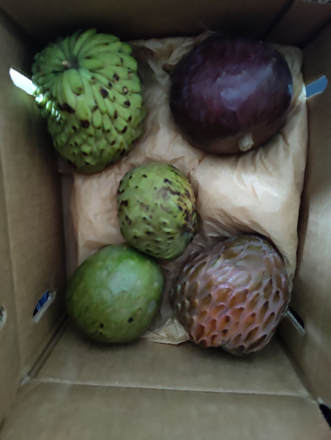 Customer photo review of Annona Variety Box *Pre-Order*