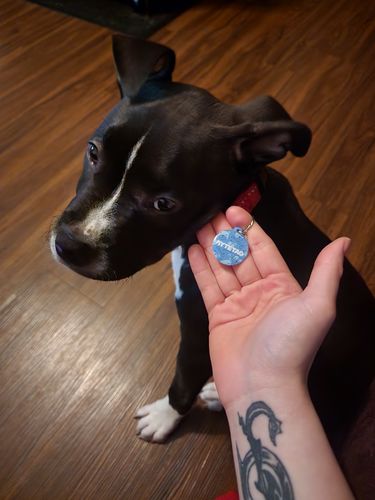 Customer photo review of Anime