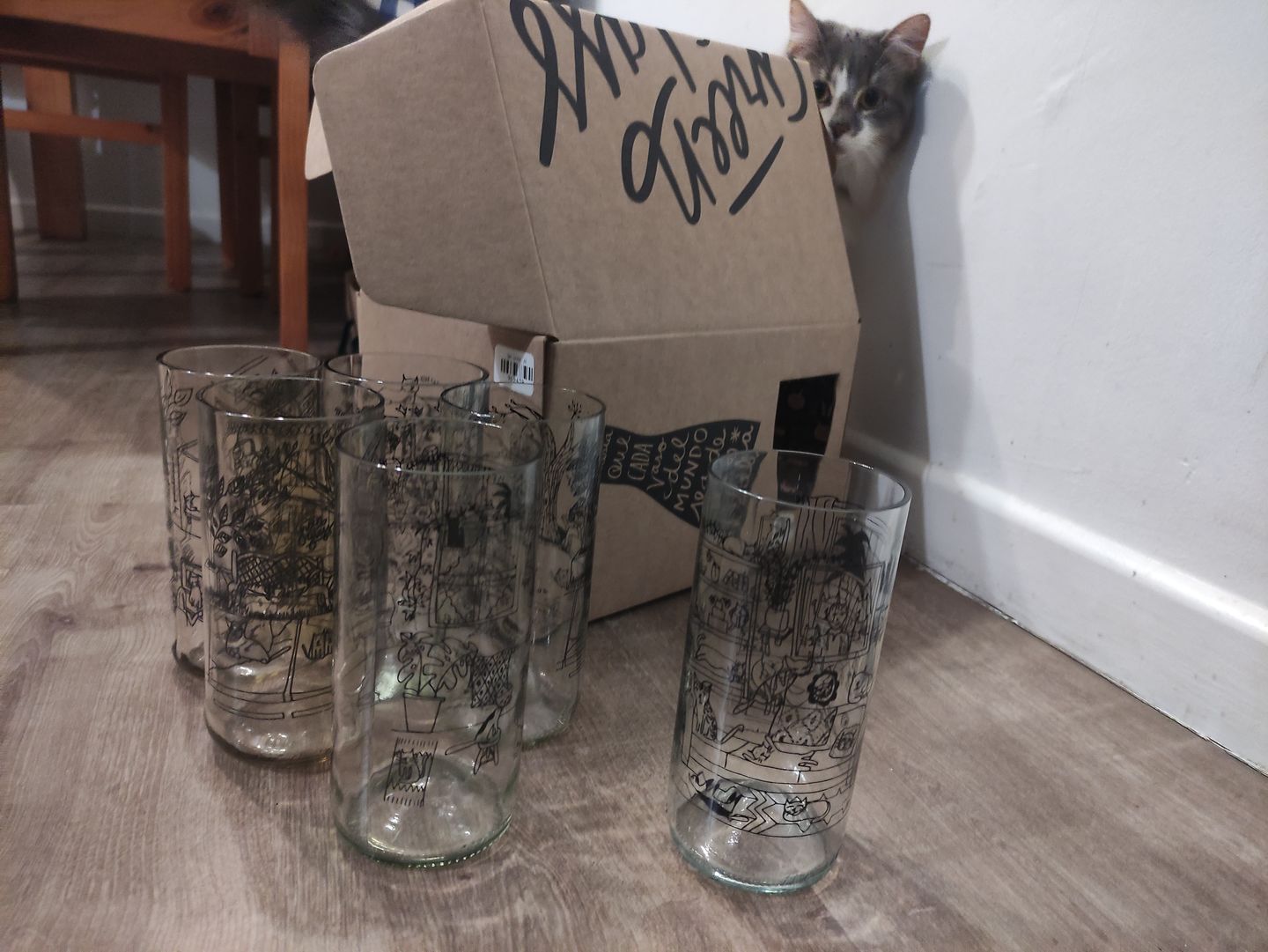 Customer photo review of Cat Lover Juego de 6 Vasos Gatunos 500ML