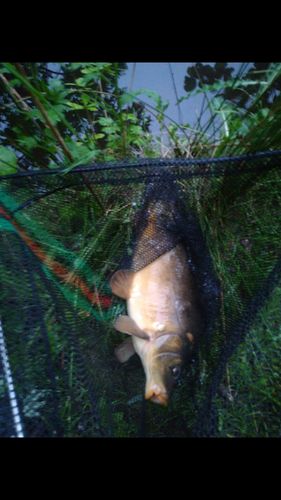 Customer photo review of 8+2g Smart Fishing Float