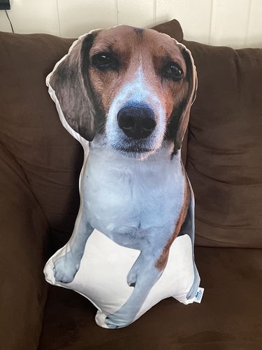 Customer photo review of Create A Custom Dog Pillow