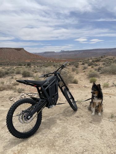 Customer photo review of Talaria Sting