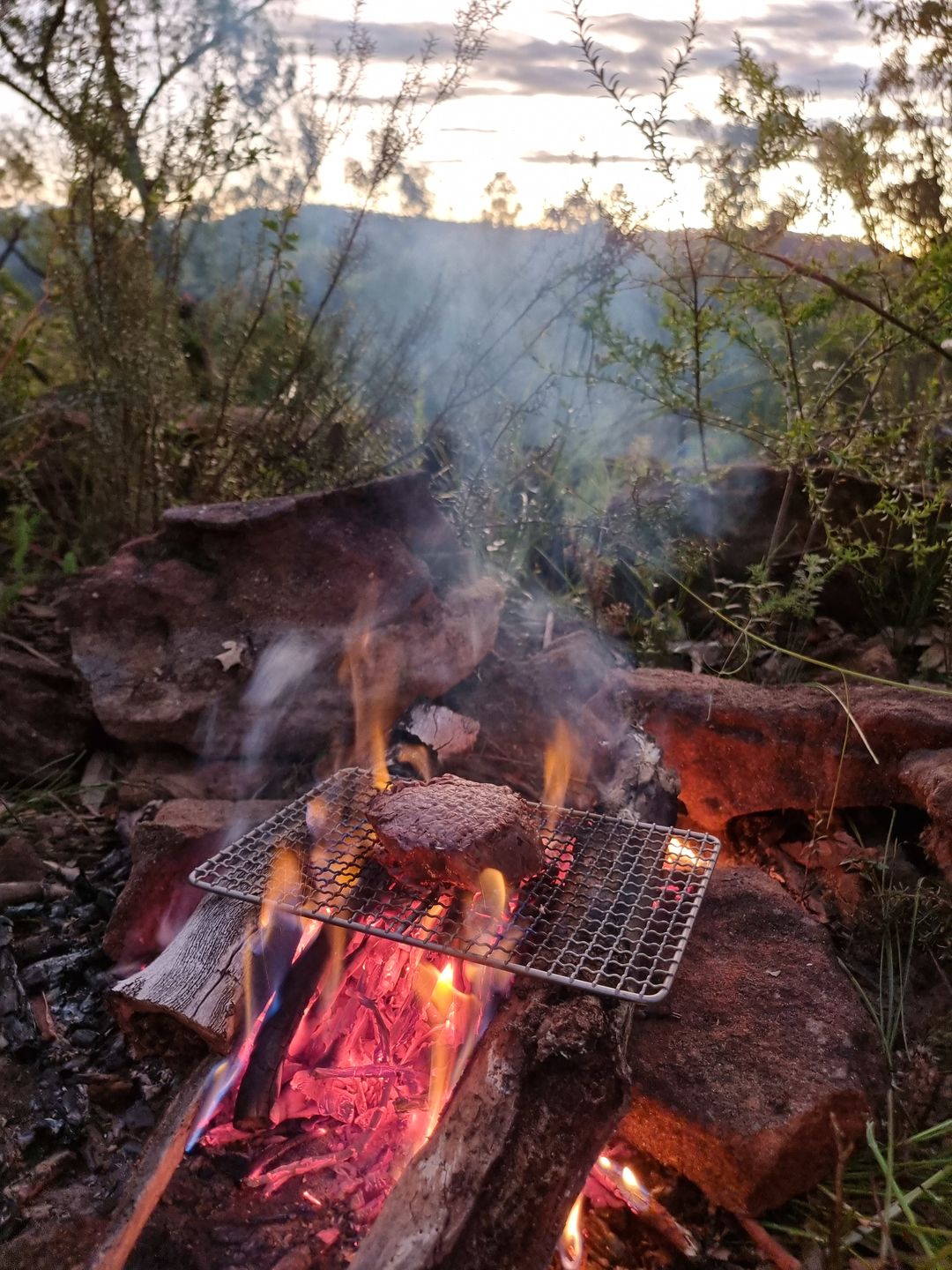 Customer photo review of Ultralight Titanium Grill