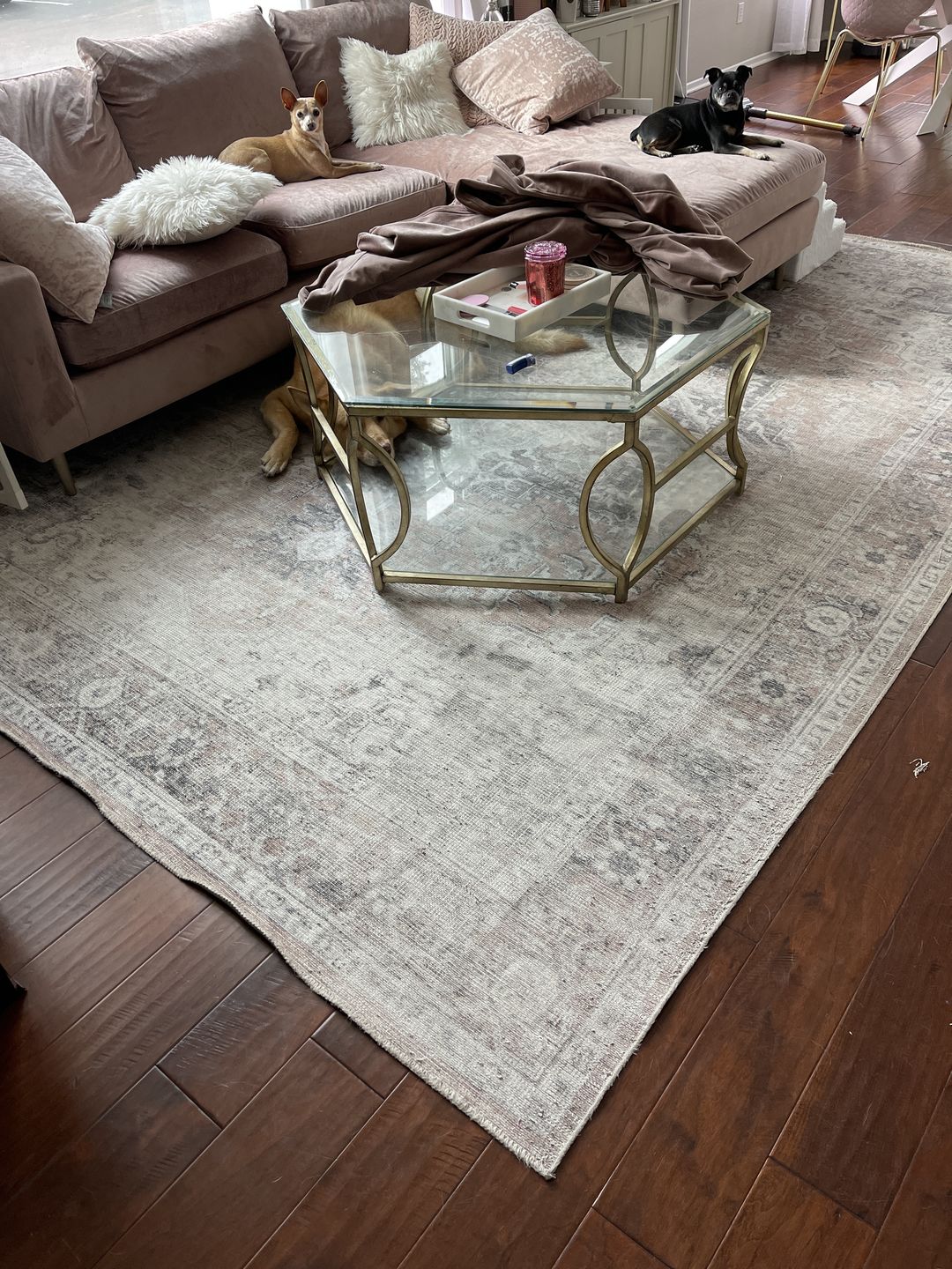 Customer photo review of Distressed Vintage Cezanne Blush Area Rug