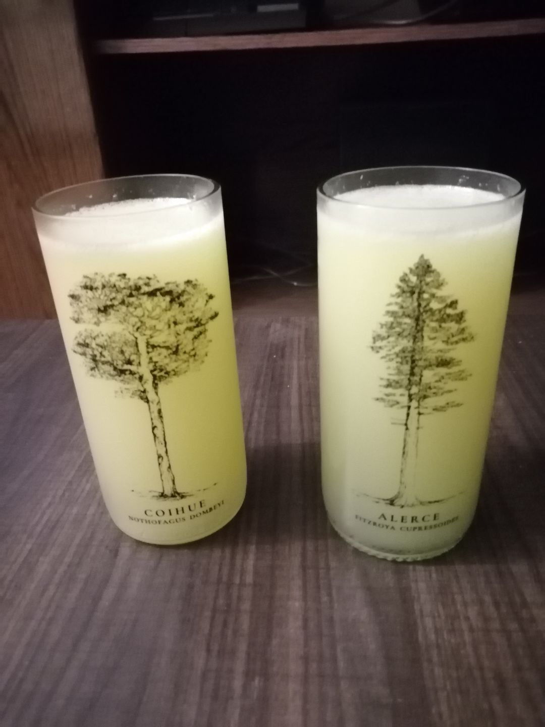 Customer photo review of Juego de 6 Vasos Árboles de Chile