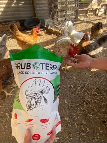 Customer photo review of GrubTerra Dried Larvae