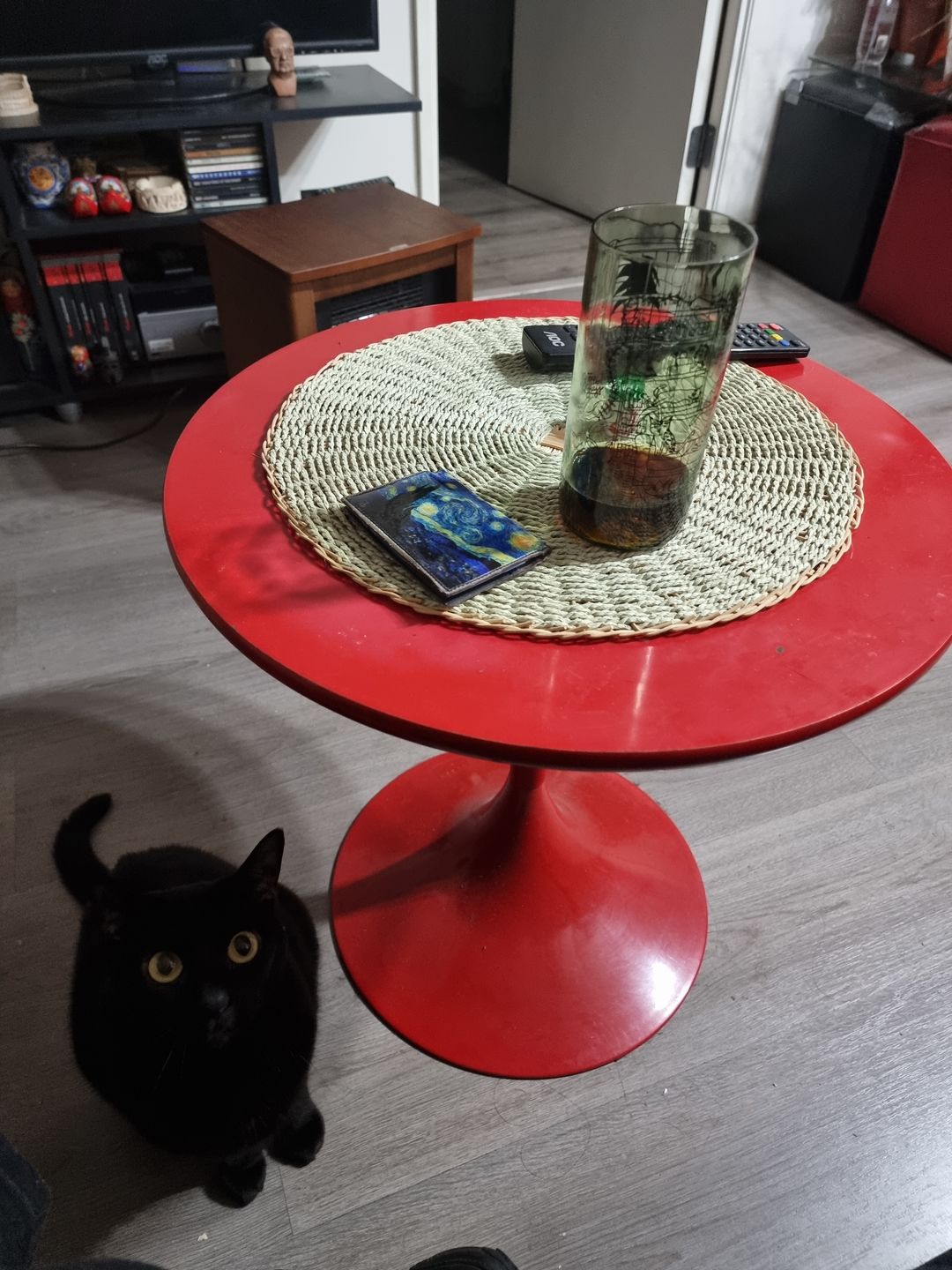 Customer photo review of Cat Lover Juego de 6 Vasos Gatunos 500ML