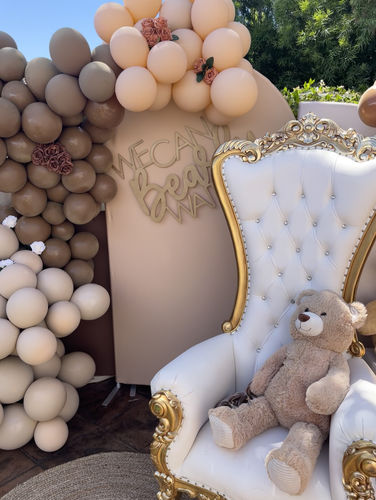 Customer photo review of Nude Chiara Backdrop Arched Wall Covers ONLY