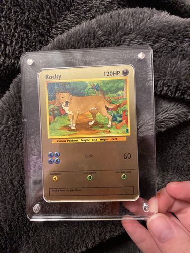 Customer photo review of Pokepet
