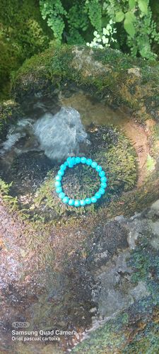 Customer photo review of "Turtle" tracking bracelet