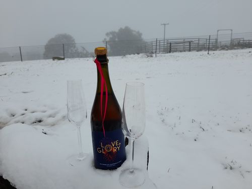 Customer photo review of Sparkling Tempranillo Rosé