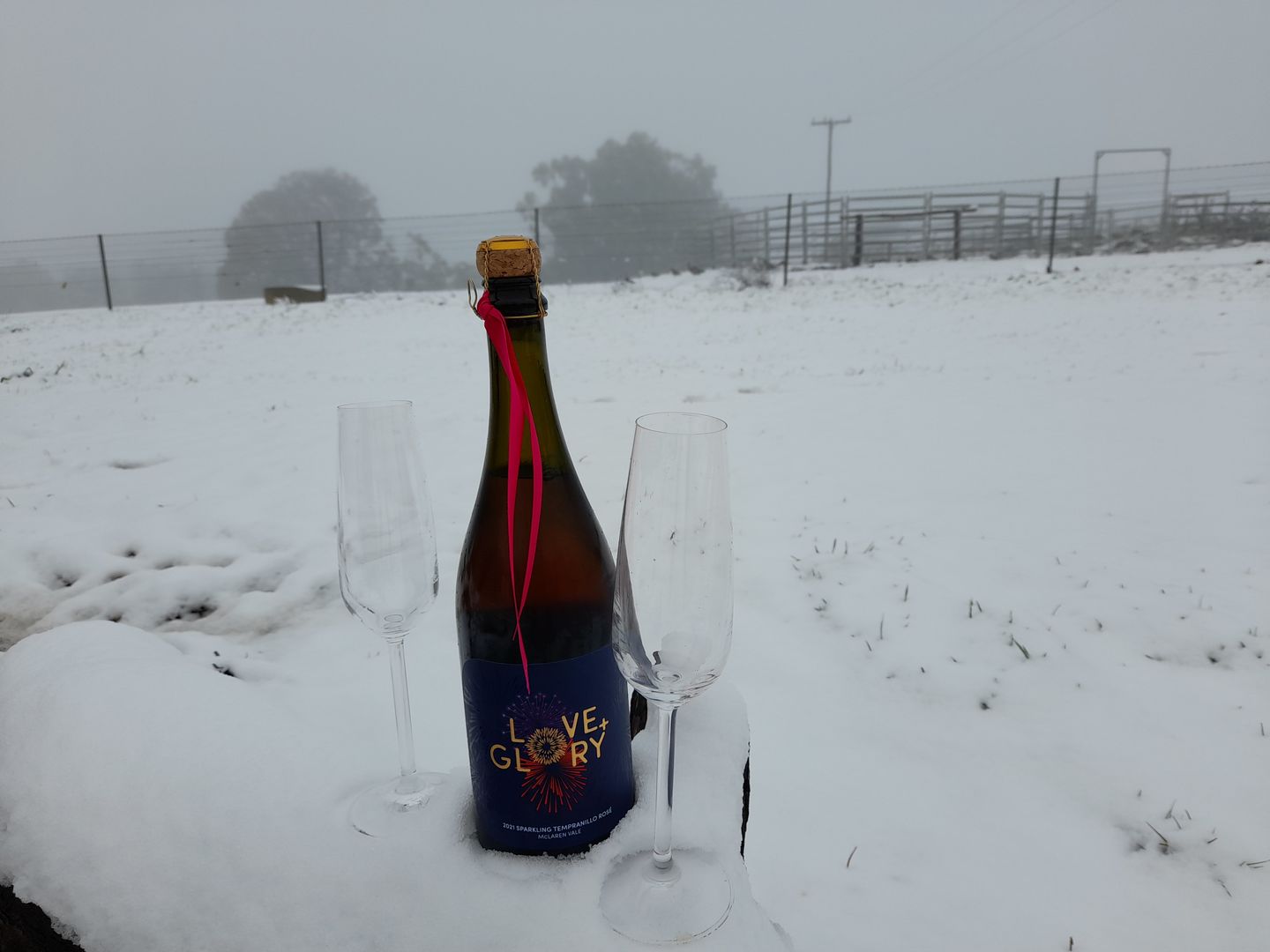 Customer photo review of Sparkling Tempranillo Rosé