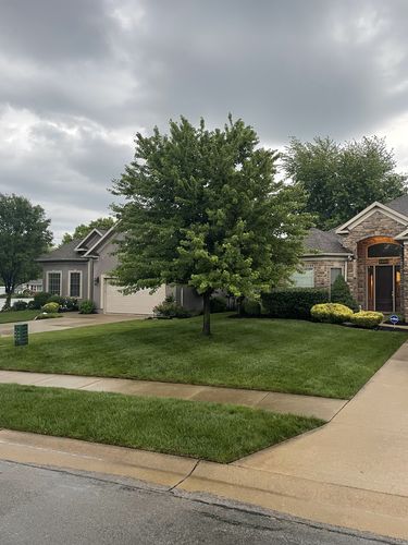 Customer photo review of Cool Season Lawn Care Guide and Cool Season Renovation Guide Combo