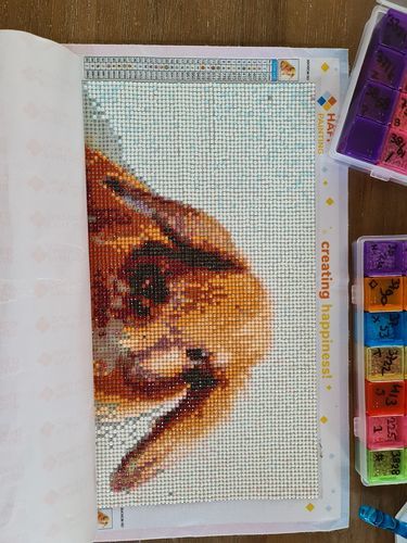 Customer photo review of Eget Foto | Diamond Painting