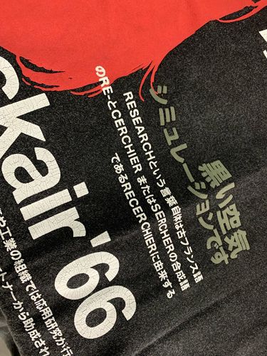 Customer photo review of Harajuku Style Kanji Anime Girl Oversized Tee