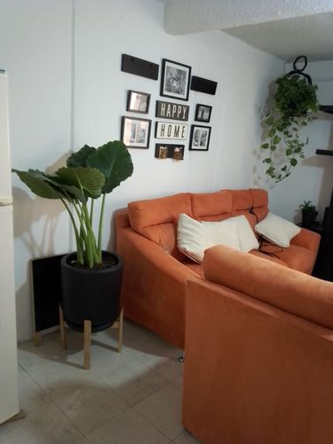 Customer photo review of Hoja Elegante