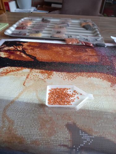 Customer photo review of Eget Foto | Diamond Painting