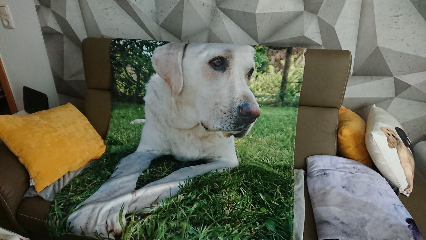 Customer photo review of Eigenes Foto - Individuelle Decke