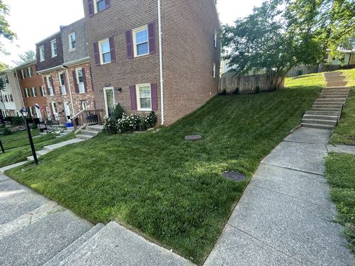 Customer photo review of Cal-Tide