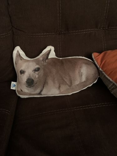 Customer photo review of Create A Custom Dog Pillow