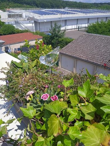 Customer photo review of Mon petit oiseau - Le Jardin de Mamie®