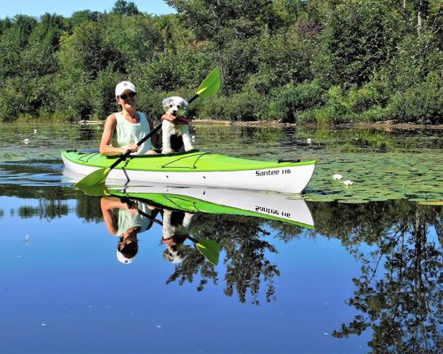 Customer photo review of NutraLeaf® Vanilla Protein