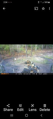 Customer photo review of Pig Brig Trap System