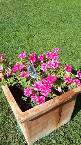 Customer photo review of Mon petit oiseau - Le Jardin de Mamie®
