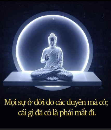 Customer photo review of 48V 20Ah / 960Wh Downtube Samsung eBike Battery CPPOLC48-20