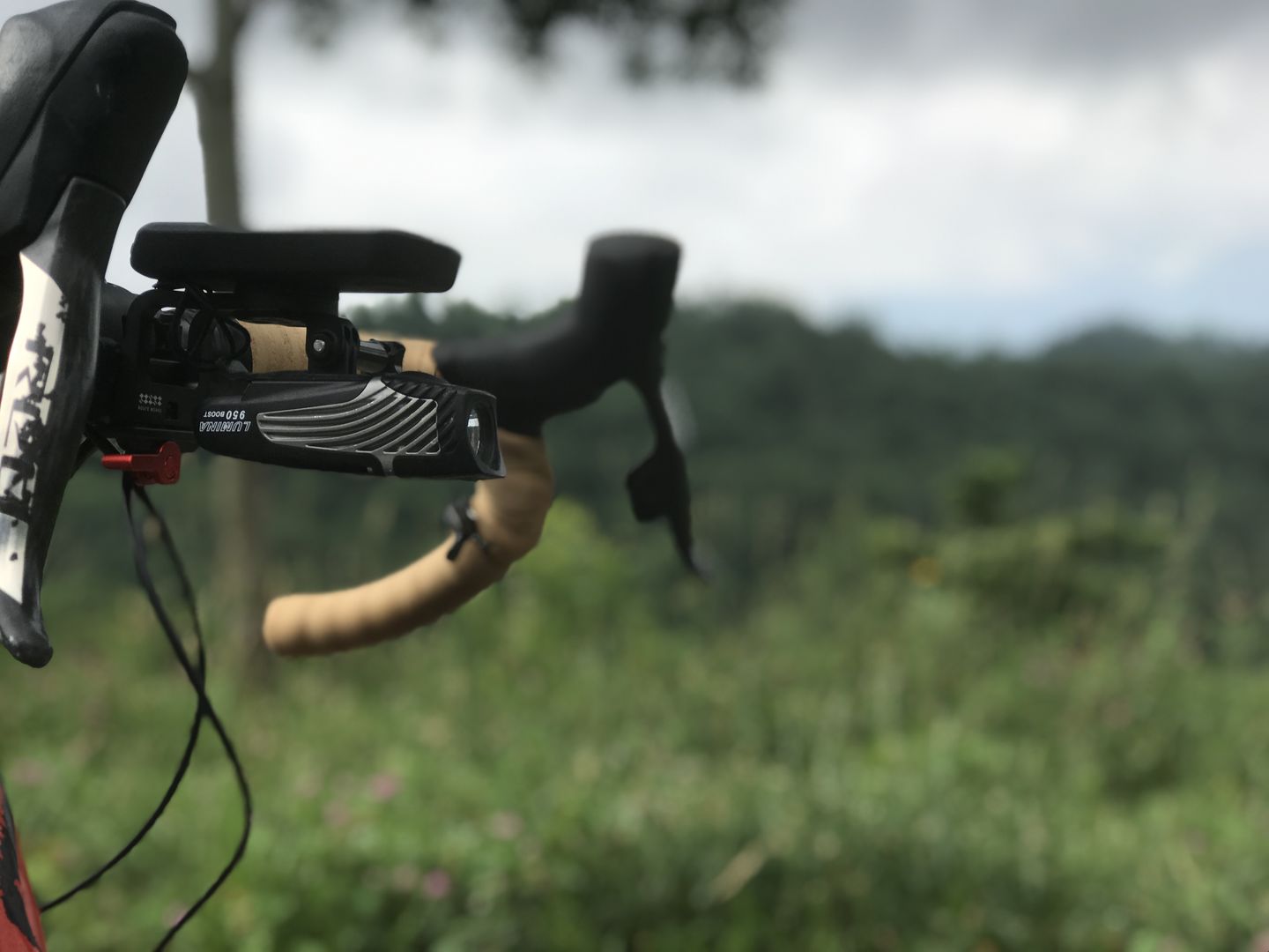 Customer photo review of Action Mount