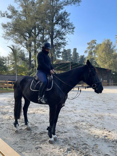Customer photo review of HR Farm Women Soft Show Shirt Long Sleeve Riding Shirt